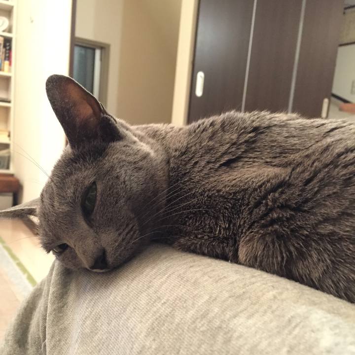 Aa2baf99 c6c4 4aea 96f8 0c7eecb0967f 1510840307823