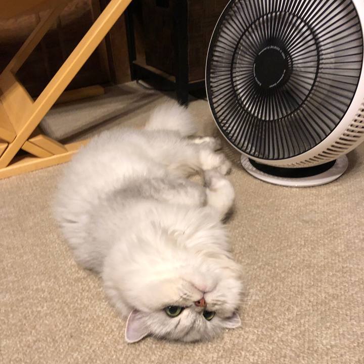 Aa2bb76c 3c5b 4fad ac5d 90f16e5c2dd2 1597629053329