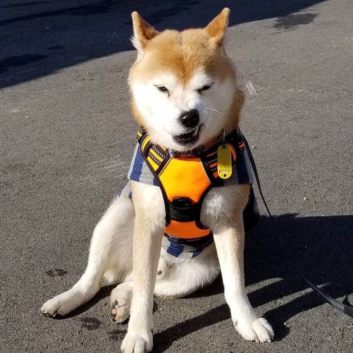 Aa2c012f d9bf 4ad3 85b9 d0cc38527574 1581574874172