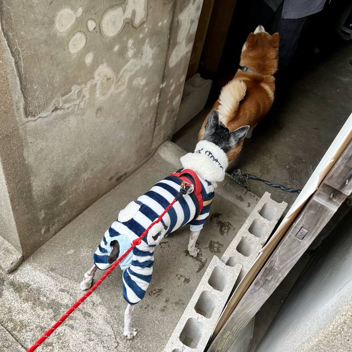 Aa2c0cdf 1799 4c87 a000 d0c1f772a20b 1645228545532