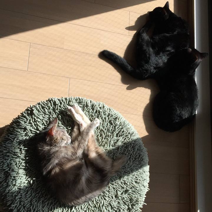 Aa2c1bc6 4fab 4dad 9e4e 2a148918c189 1522477501892