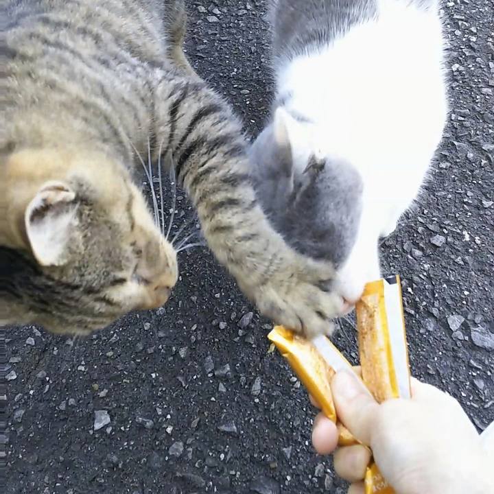 Aa2c3722 373e 4015 93ba ed5e37062de4 1513140500625