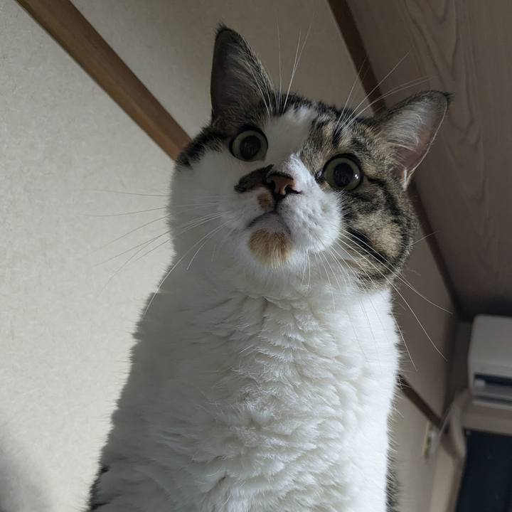 Aa2c9c13 2a88 4eb4 b40c 5337c77601e7 1725281889807