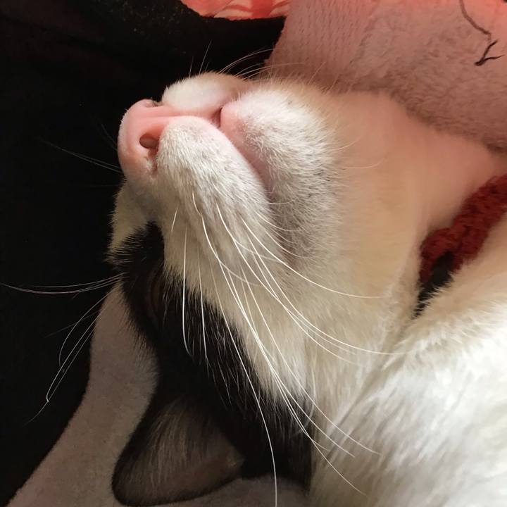 Aa2cf343 b935 4139 8e56 6b21fde69634 1632477274024