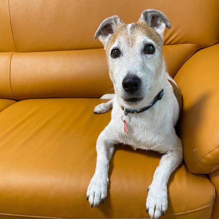 Aa2cf7da b52b 4262 a065 c236fd2a4cdc 1598523004118