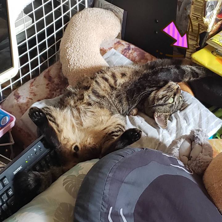 Aa2d1cfb 6d60 4263 a26d 737d94d5186c 1562112835771