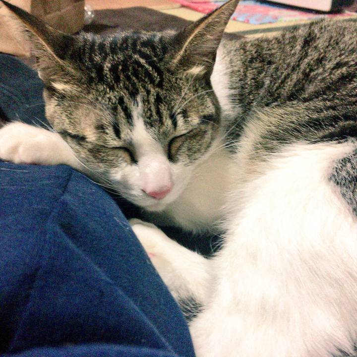 Aa2d3316 206c 4760 afbb da43cc9e221a 1514420272607