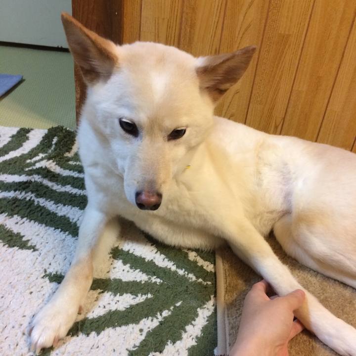 Aa2d49bc f829 462c a6f1 fd80b4e9076b 1552824744594