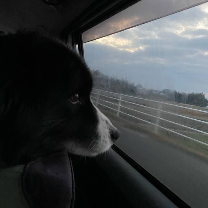 Aa2d561f f41b 420b a174 cb734295d62a 1675461872902