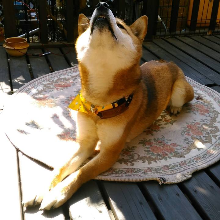 Aa2d5f1b 7501 42f0 9be5 07620a8fec0b 1518748230808