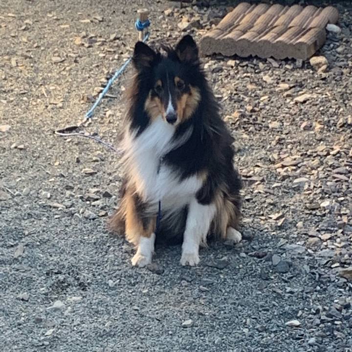 Aa2d6cfb f439 461a 8461 b512a721362a 1557091736672