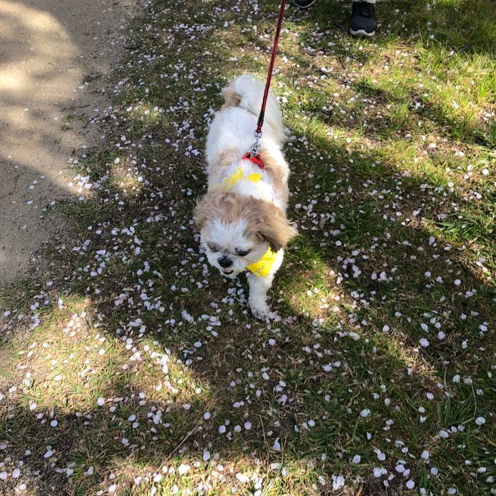 Aa2dcc26 6fb4 46ed 9d44 6257d75b577e 1554760079209