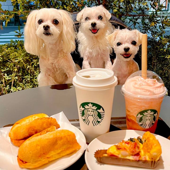 Aa2de968 fee6 4608 bcc3 8f941d1e4062 1689759679571