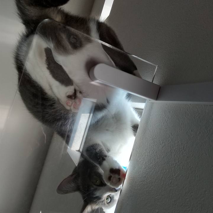 Aa2e082d ddd2 412c aa38 a0801747a1e6 1597370043166