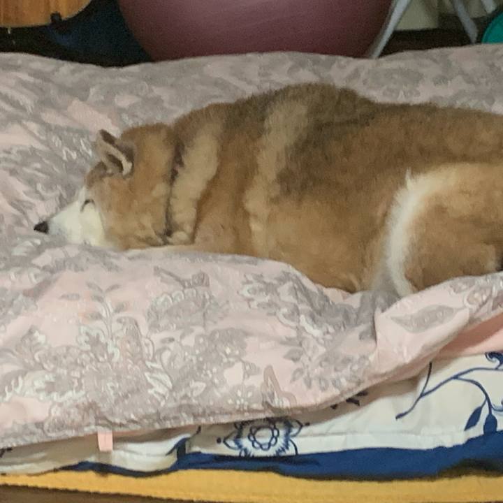 Aa2e1184 7291 43b0 a366 8b092ae3cb8f 1614520141925