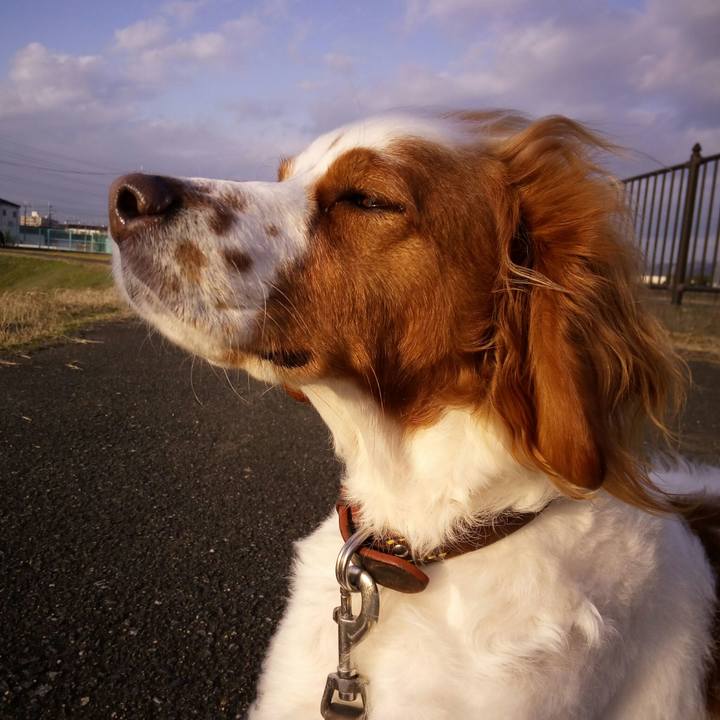 Aa2e2f2a e938 4bc3 a4cc 815b5c270aee 1516262912679