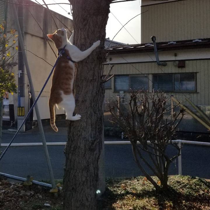 Aa2e4bef d6eb 41e5 8241 169dde551992 1546768377385