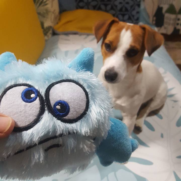 Aa2e699f 31d8 49a9 9753 282abbdf966c 1574505843304