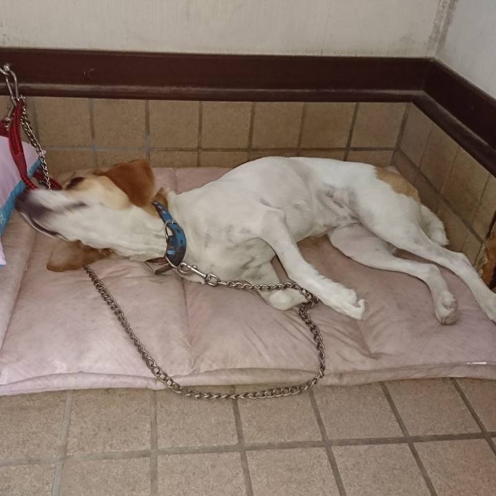 Aa2ecd0d 9996 4226 8d6d 7d2f5040328a 1564978112252