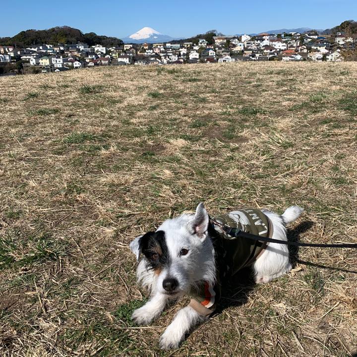 Aa2ed3fc 1d6f 45b9 930c 8afa1049f2ef 1709082106263