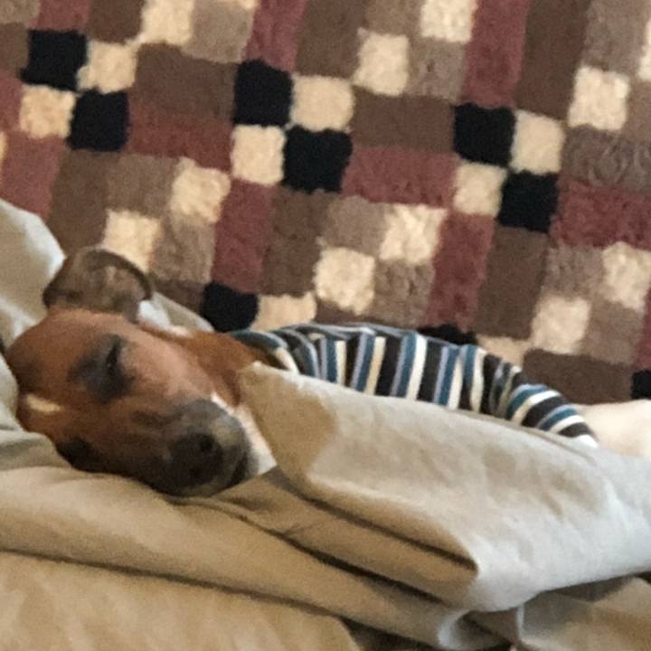 Aa2ed811 8a1d 4c3f b34c 519541f699a9 1514070267559