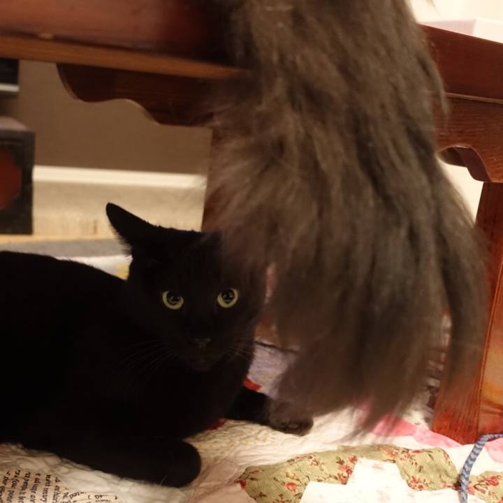 Aa2efc73 94ff 457e bc40 e930b71099fc 1534591178018