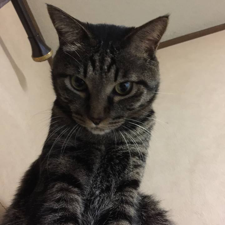 Aa2f3f4b c685 4f9a b827 305237ea17ed 1565659984044