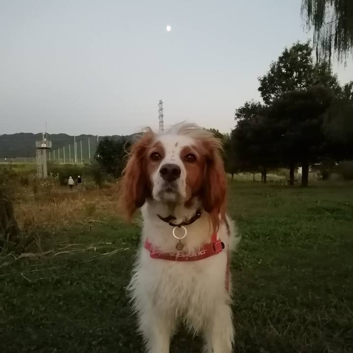 Aa2f51e3 9ead 4b59 acbf a432c18999f7 1603799582915