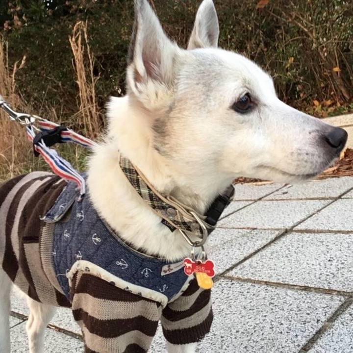 Aa2f6517 25b6 4d0e 9e0c 1c5b10e8139e 1766018694337