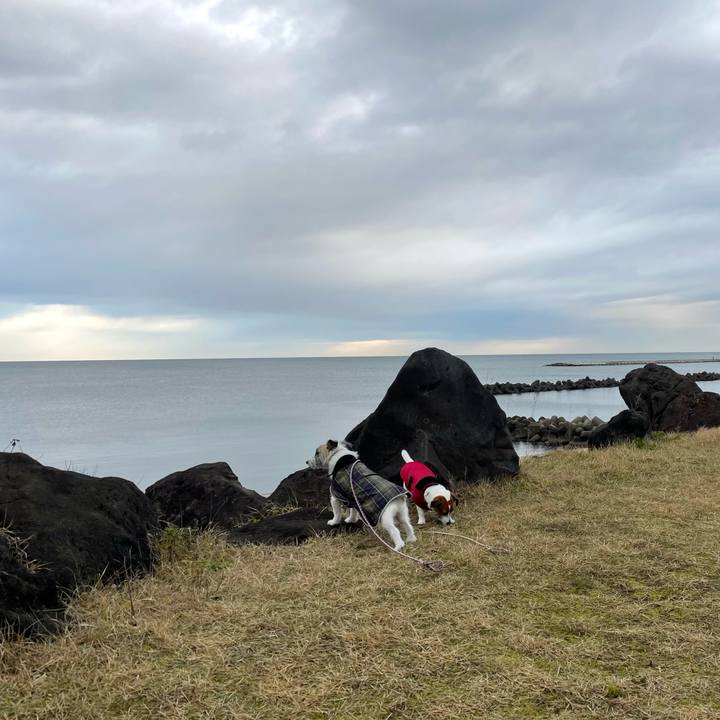 Aa2f6fc3 5adb 4357 bddc d6db004366f0 1670888003869