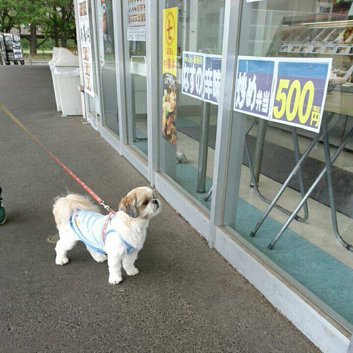 Aa2f877c 92e3 4fa8 8aee e36ccd56af9f 1529207808465