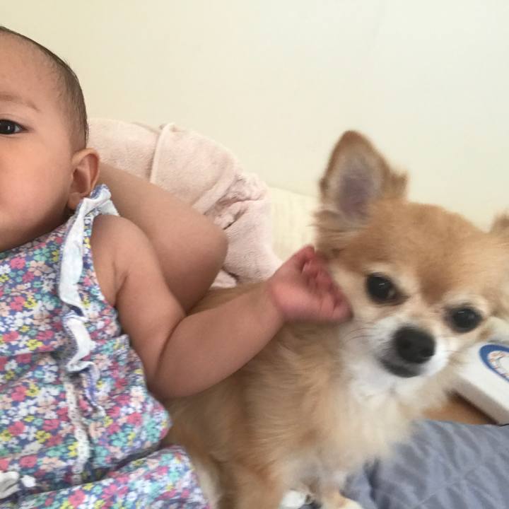 Aa2fbe1c 5223 4c1a b84d 4ed68eed8cdf 1533025930759