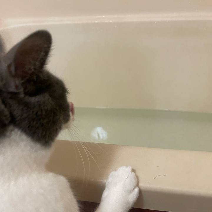 Aa2fedc4 22dc 4875 b345 a34c042e8243 1636031945236