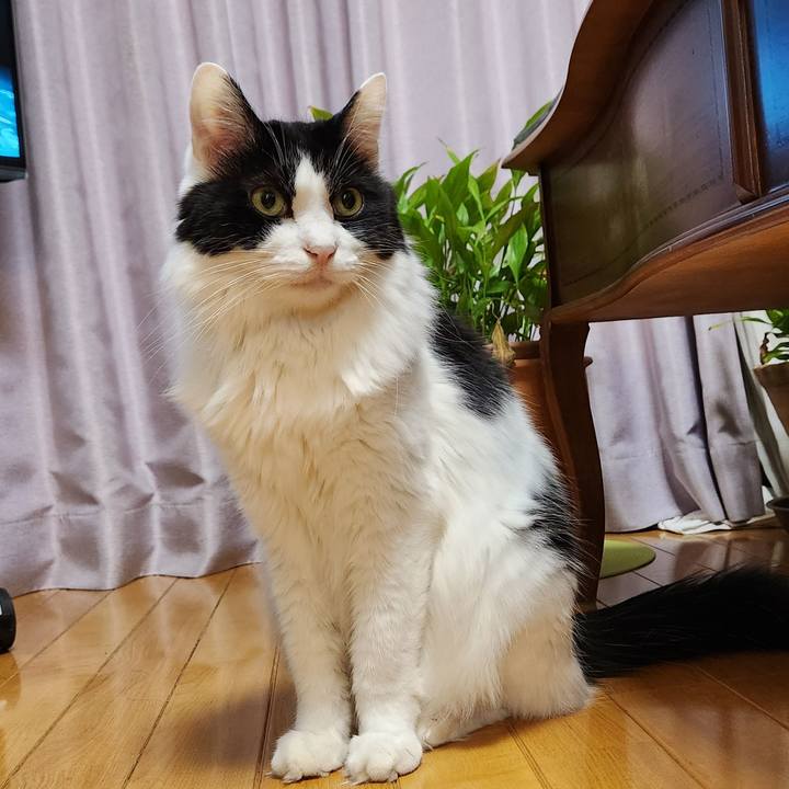 Aa3061b3 1f8c 4922 bb5a 66edd1ad1ab4 1700656359699