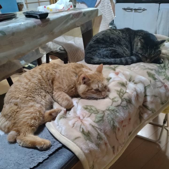 Aa3076d3 c4d7 4655 b8f7 8085b6e9c443 1673685495301