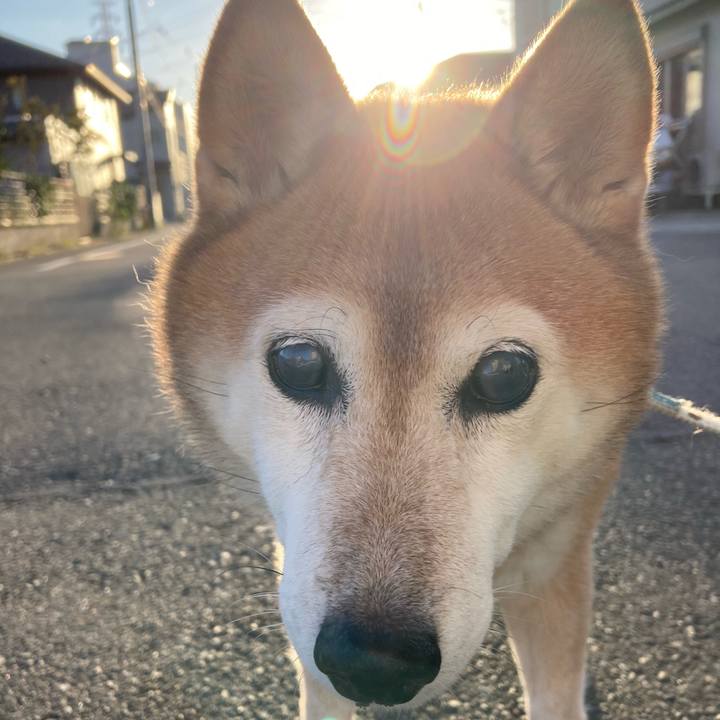 Aa30772c 2280 404d 9c8a 2e963d8923b0 1729411897447