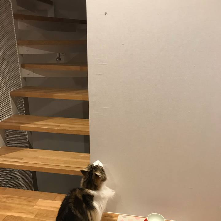 Aa30bf2e 3090 44a0 8035 78494fde9177 1561981455089