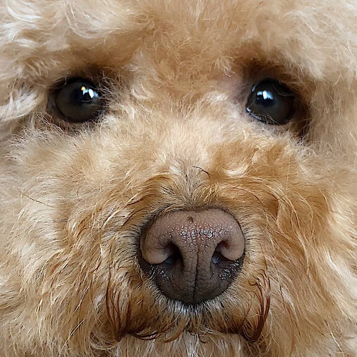 Aa30cc8f 4314 4085 9b4d dc4f9dab655d 1523844129586