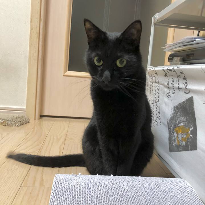 Aa30d5d1 d9ae 459f 9711 24e79e8eede4 1614344988696