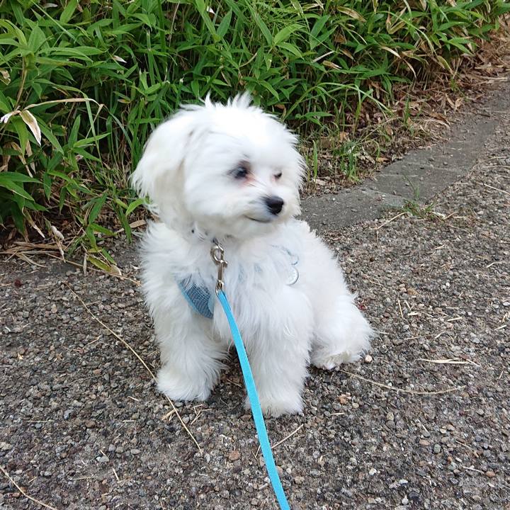 Aa30d791 2d4a 4768 a6ac 2ac65cd3a09a 1561033927496