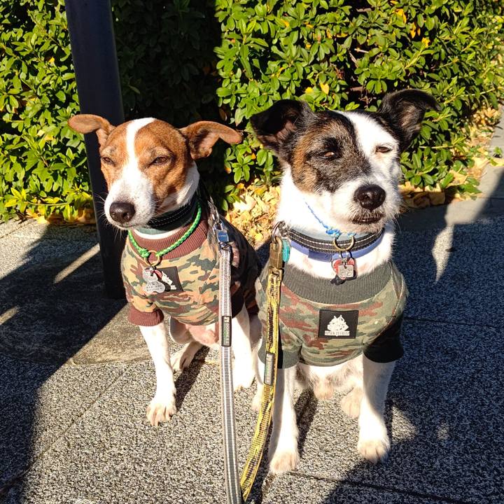 Aa3111b5 08aa 41db 9ba4 ca6d82236ff3 1704673429434