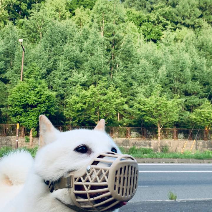 Aa312c8b d00b 45ad b6a4 6bf206dea9d9 1595105404979