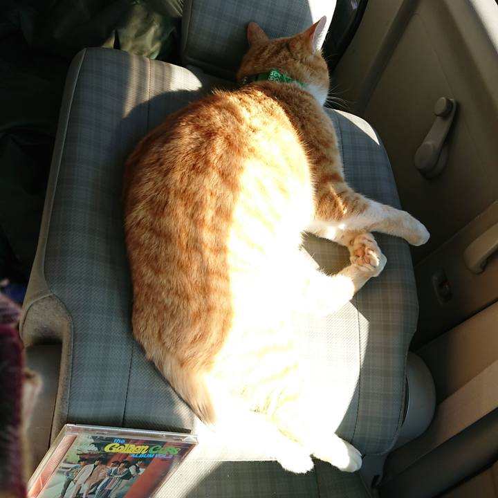 Aa316a89 e5ff 42cf be56 0ce39cab4a6e 1584256588653