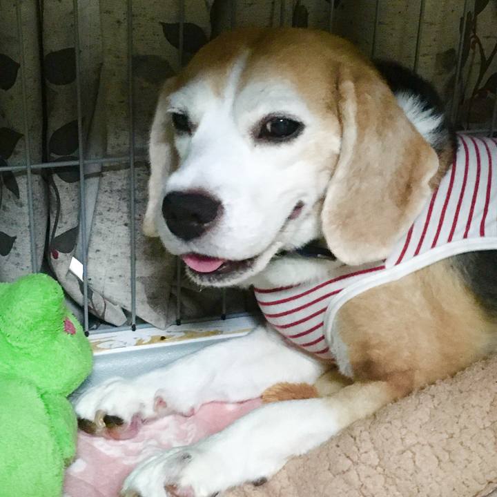 Aa3171ea 27e2 401e b700 6ae1b8bbc703 1570856858343