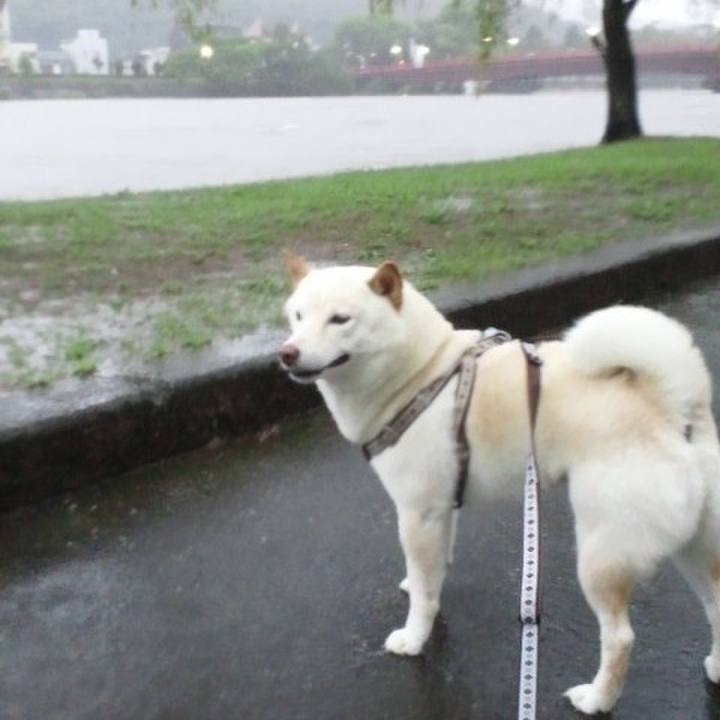 Aa319212 b521 4f43 8480 fdb7042efbb3 1658641417820