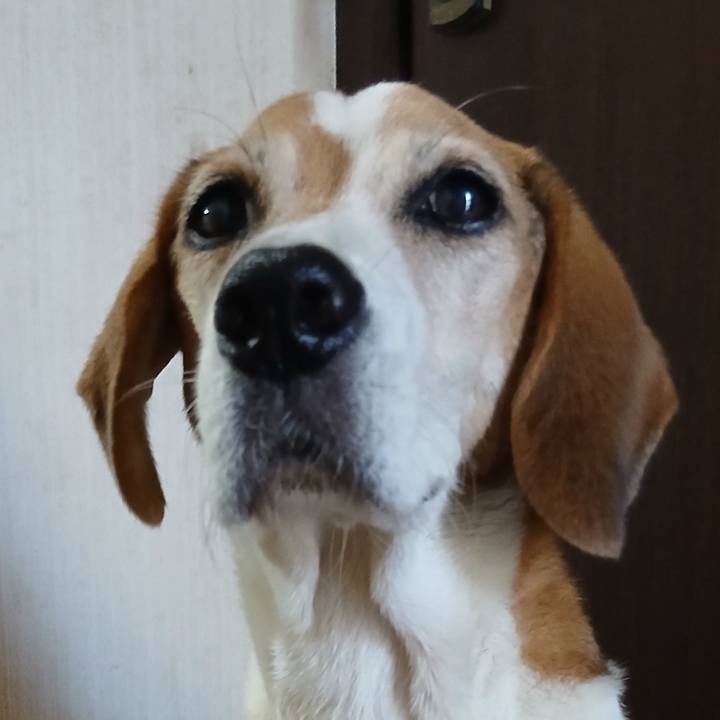 Aa31c892 f56d 4e24 b626 bbd7d2334ba6 1760358205771