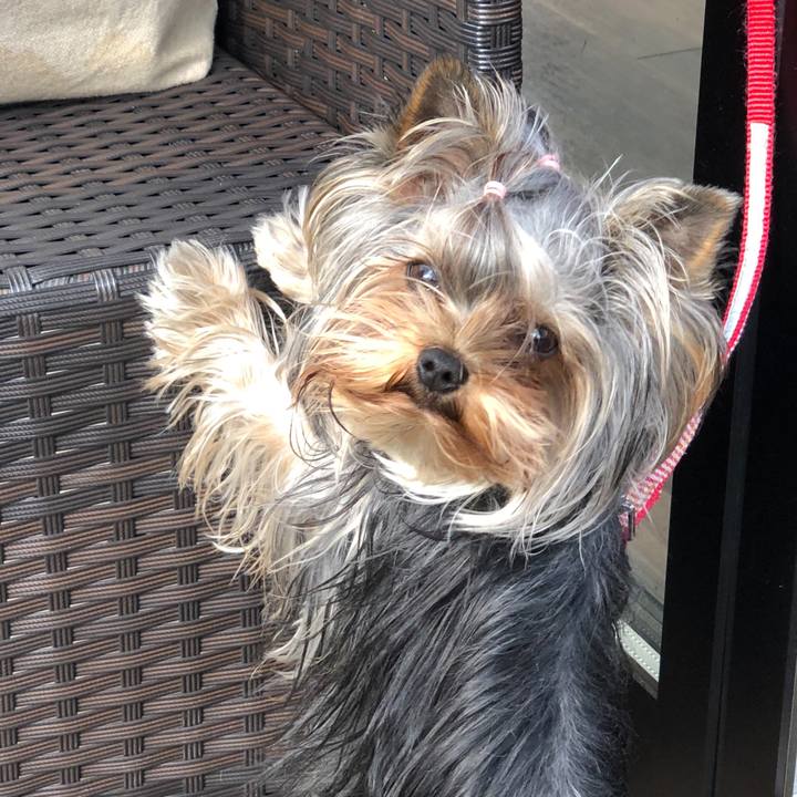 Aa31cce7 077c 4fe2 9d0d f97d7a925d49 1638005564885