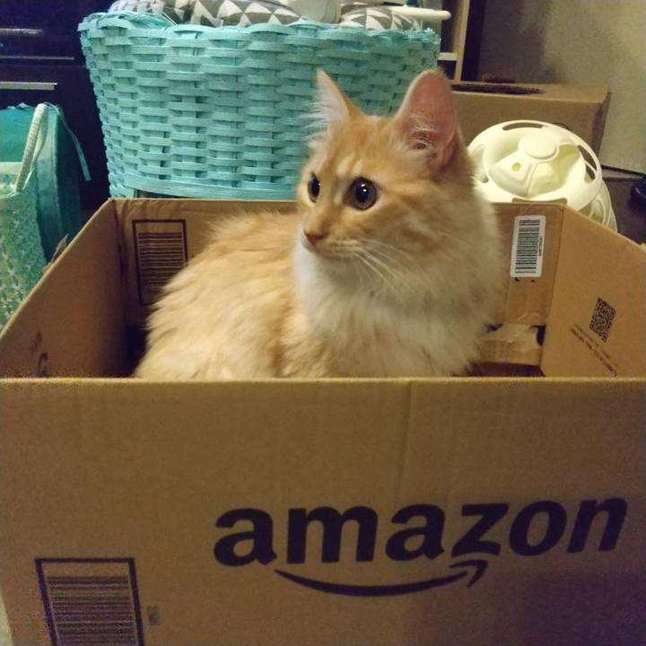 Aa31edde 472a 4cb6 9fc2 8b7d56aeebe8 1624626977932