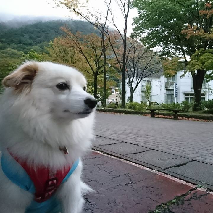 Aa320886 20f7 4bfd 9329 b51da6bda298 1507844221044