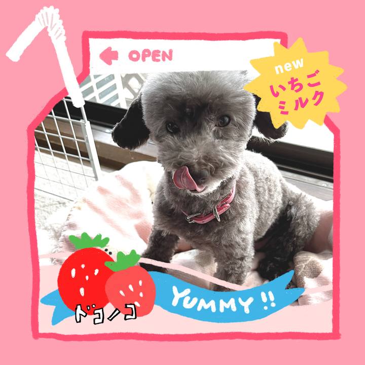 Aa322539 010e 4899 bf89 1e668db65bd4 1711019977837